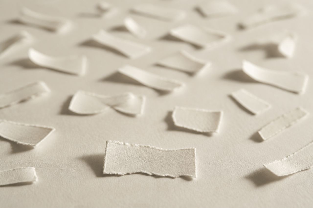 Torn blank paper scraps scattered out of focus; one scrap lies flat and in sharp focus
